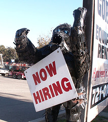 Now Hiring by Tess Aquarium