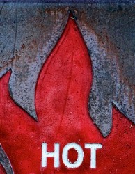 Human Capital Data is HOT!